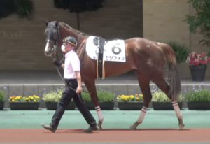 【GⅠ NHKマイルカップ】2022年 出走予定馬 セリフォス 軸馬予想となるのは中距離馬か！？