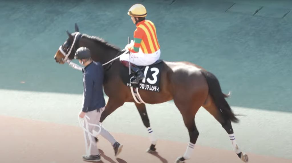 【G3 アンタレスステークス】2022年 出走予定馬 グロリアムンディ4歳馬に注目